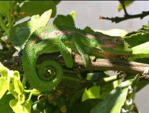 img_20160909_083023_728