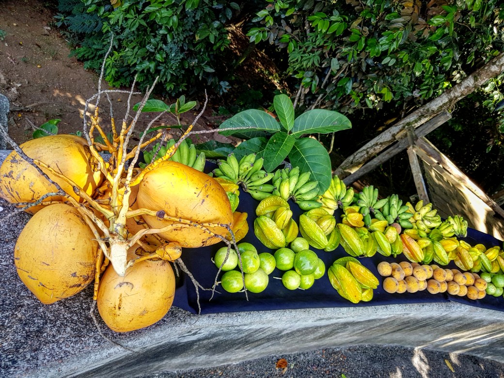 IMG_20180404_210509_558