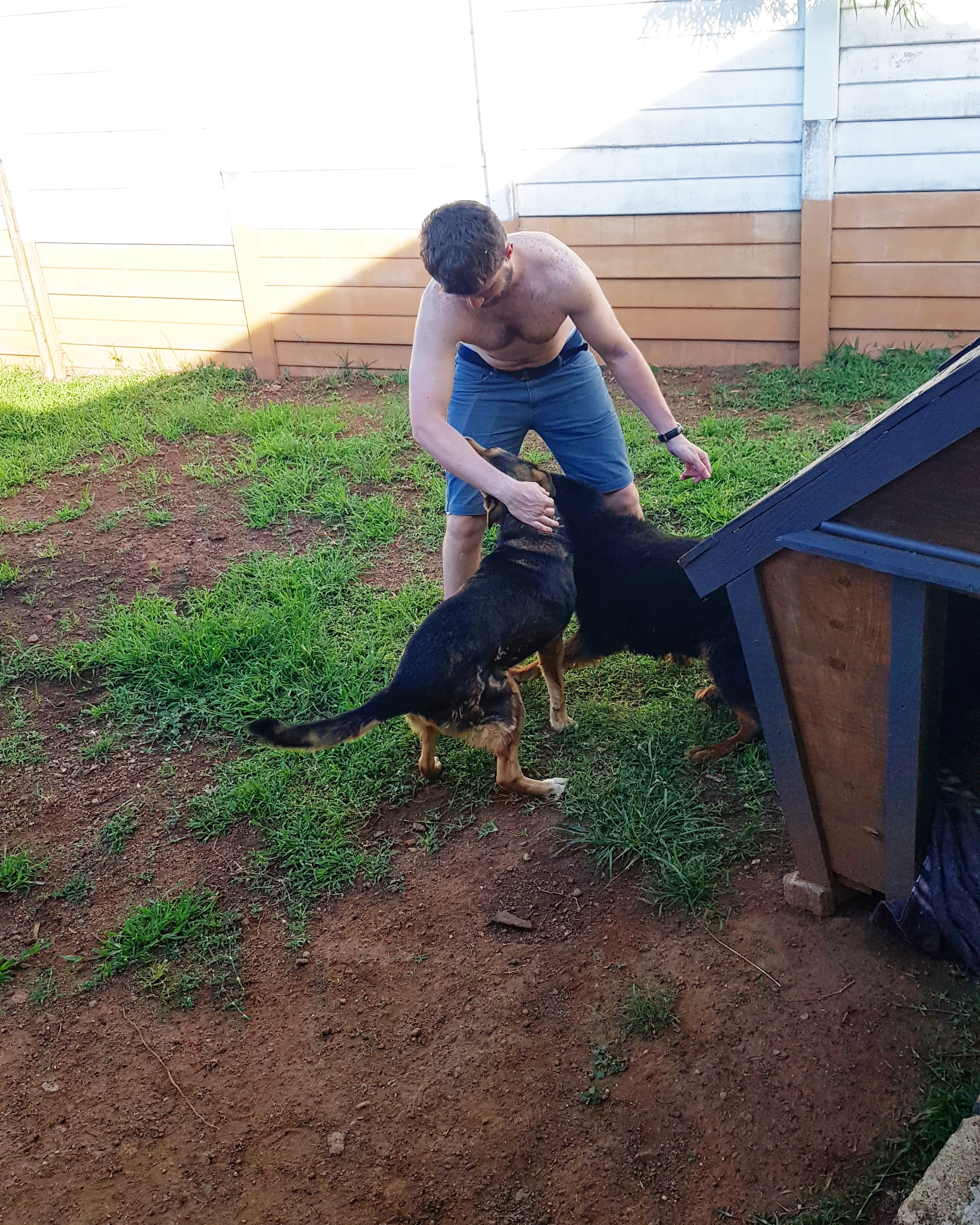 IMG_20190118_194031_886