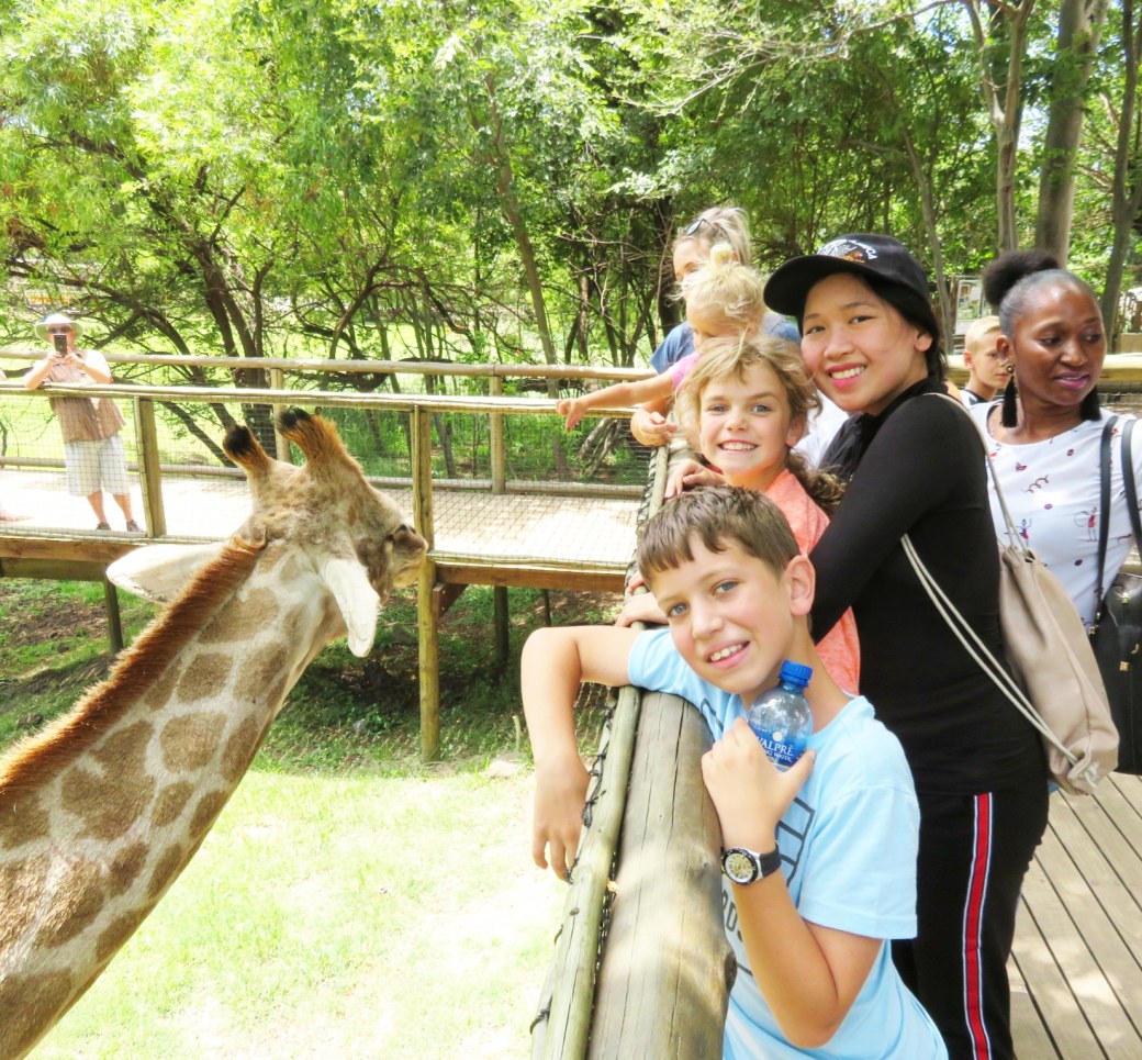 IMG_20190203_135901_750