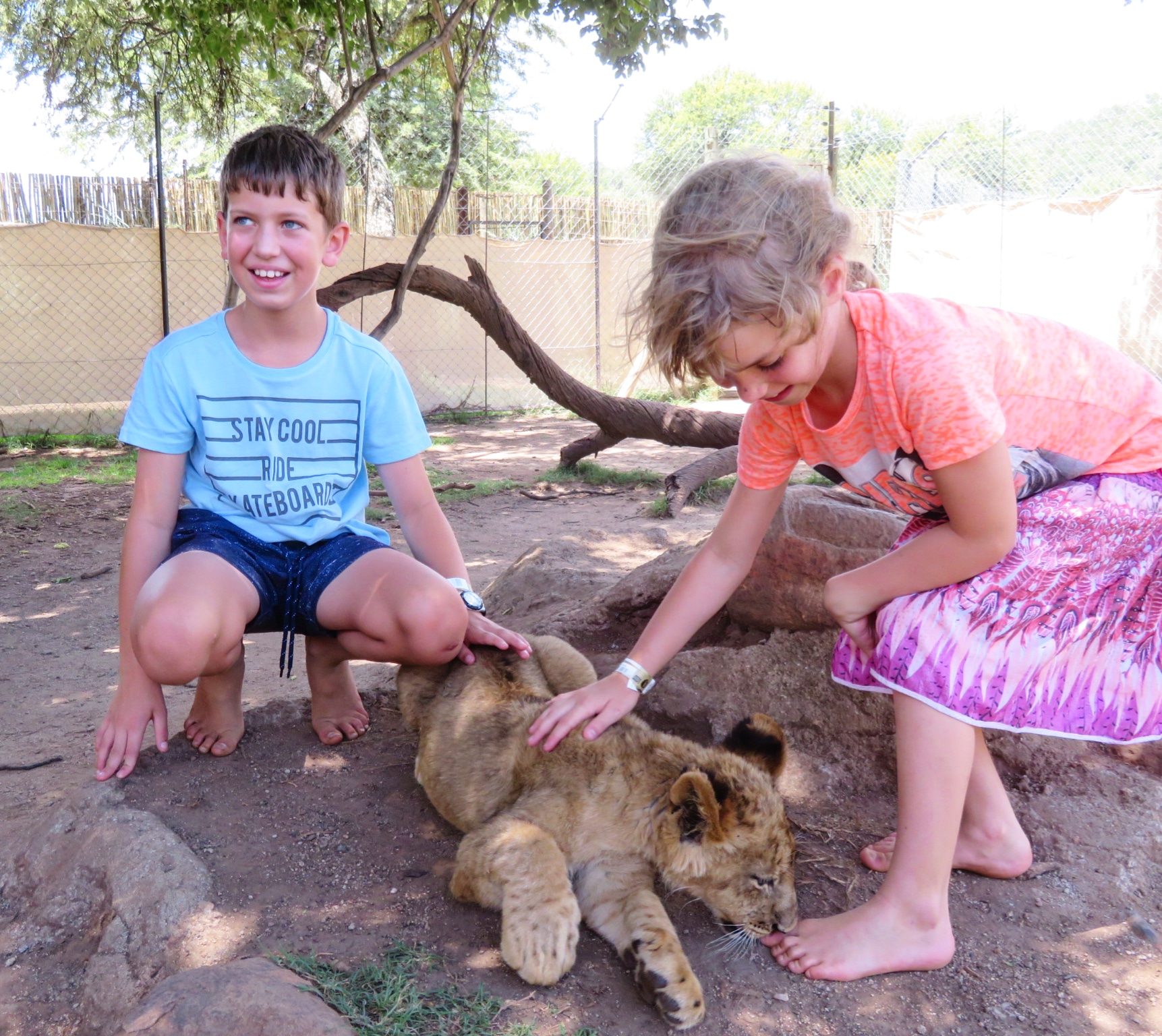 IMG_20190203_140003_593