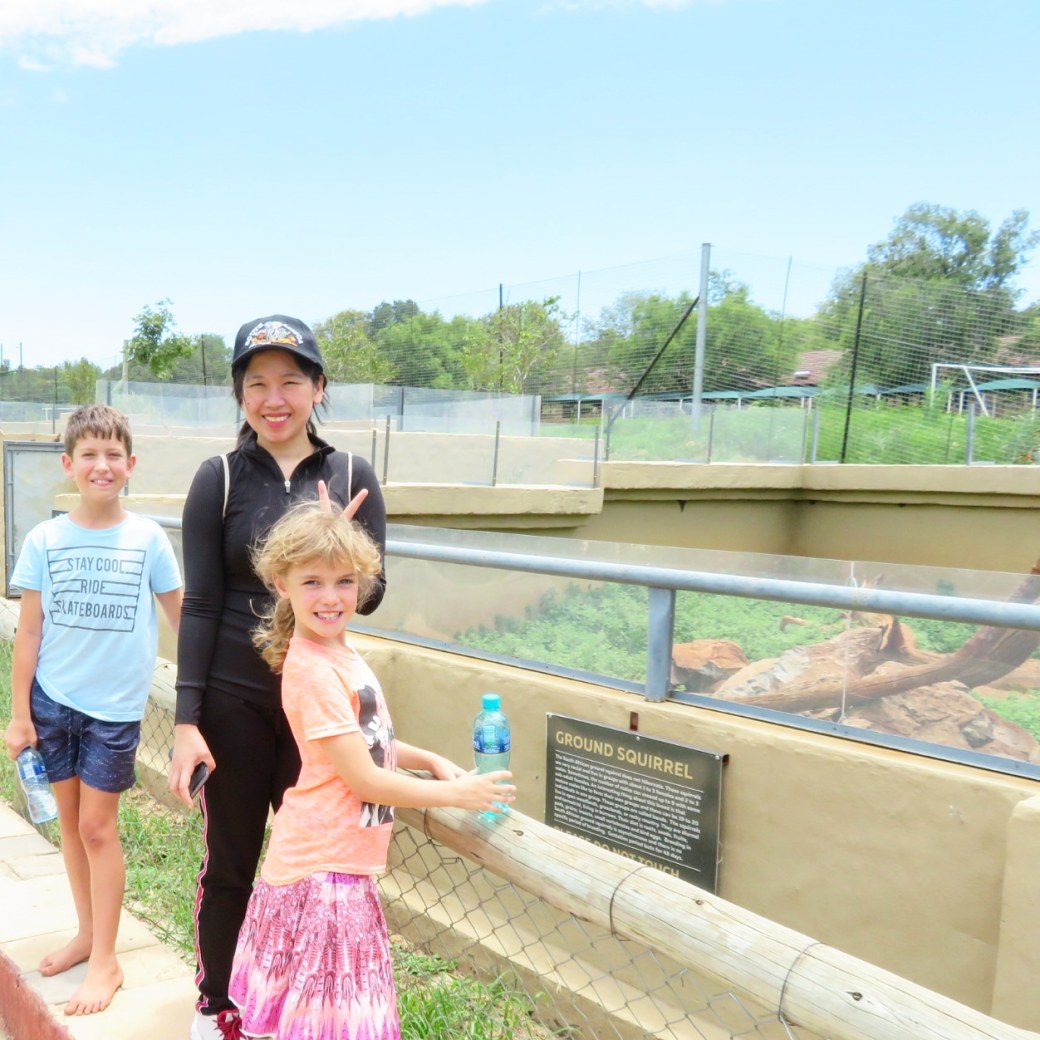 IMG_20190203_140111_697