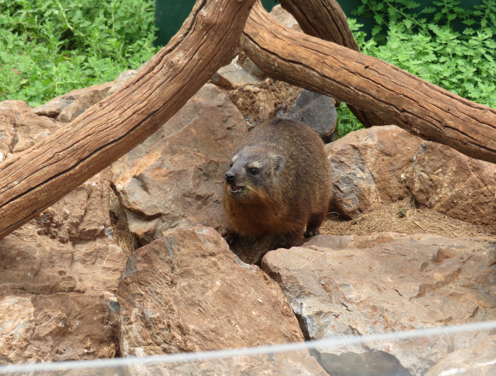 IMG_20190203_140146_913