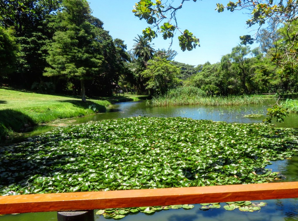 IMG_20190203_142009_539